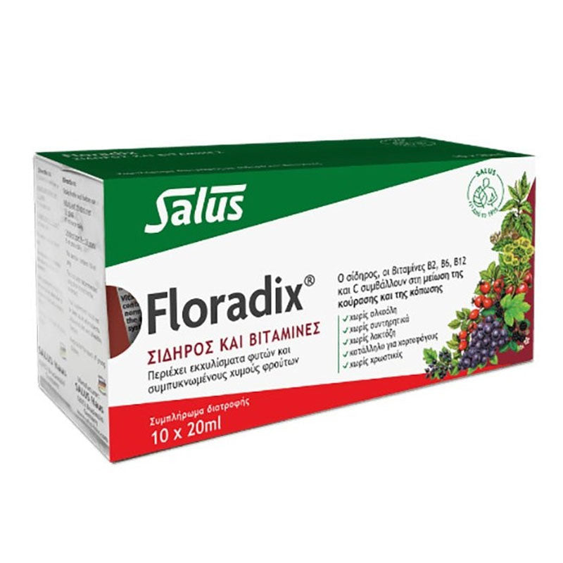 Floradix Liquid Iron Formula 10x20ml